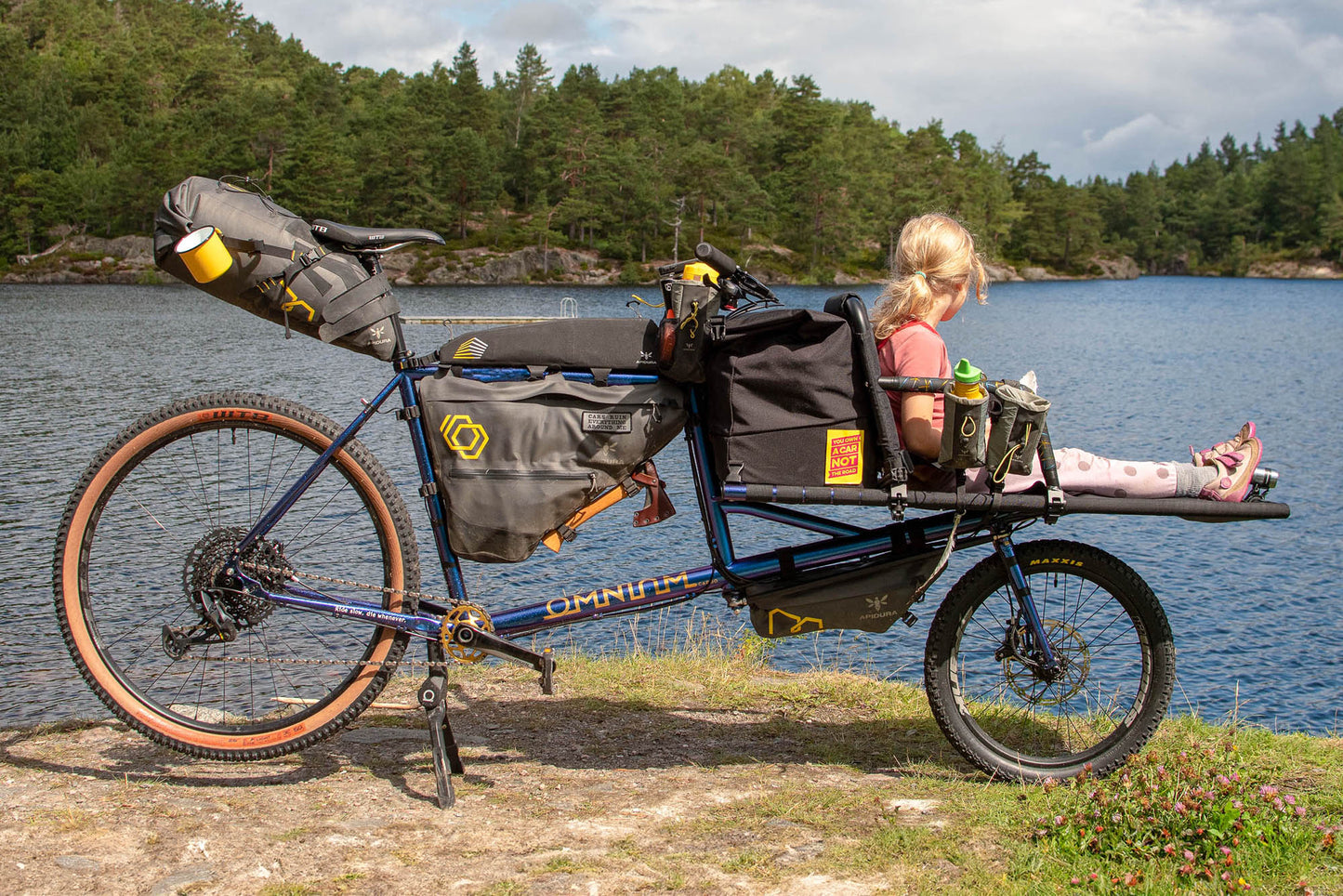 Omnium Cargo V3 Bike